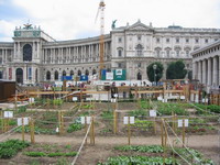 Pstovn zeleniny ped Hofburgem